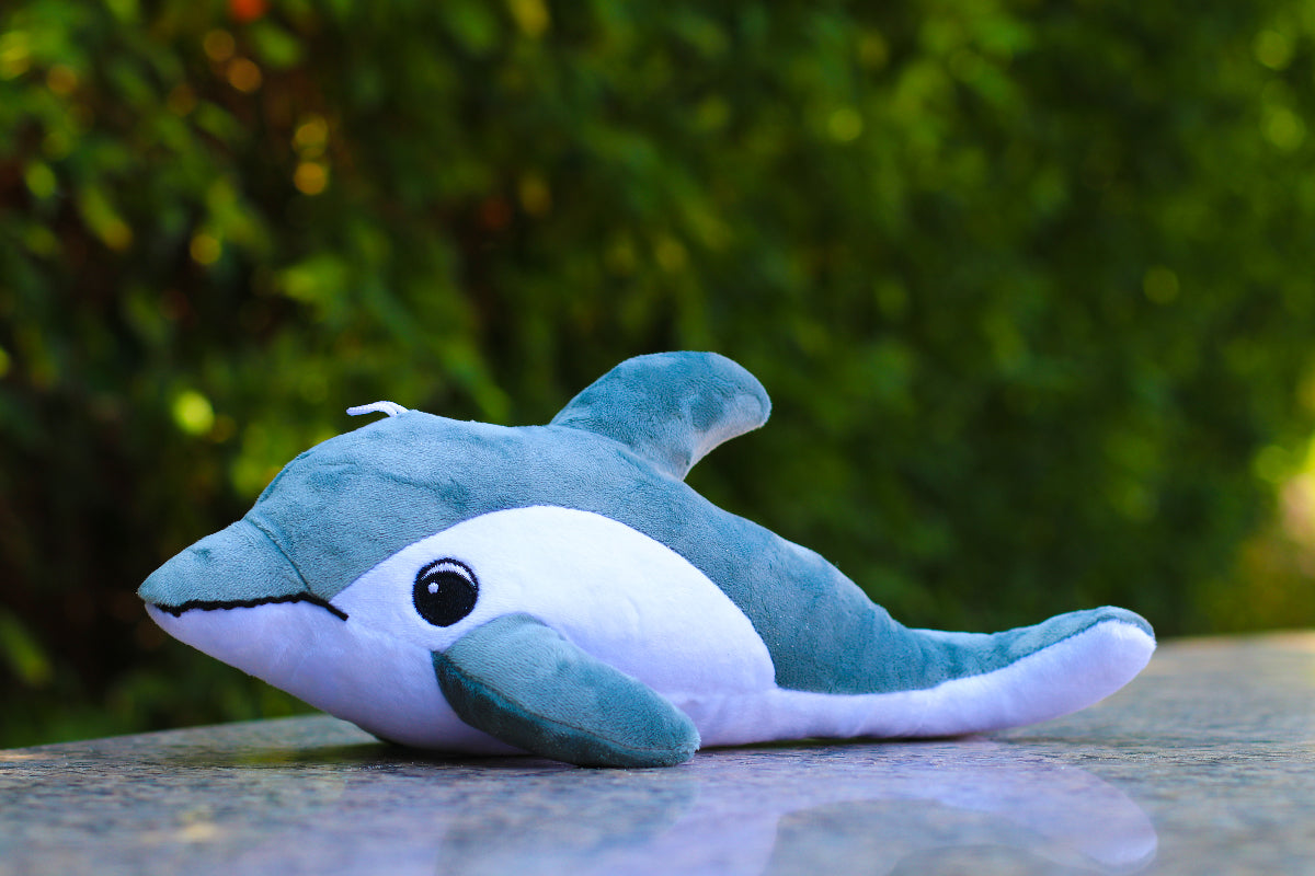 Finn The Dolphin Plush Toy S Buds