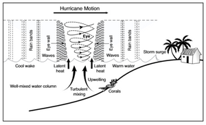 Hurricane diagram.png