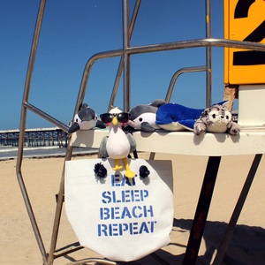 Shore Buddies with beach bag from recycled billboards