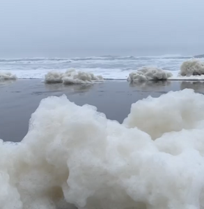 Instagram Photo of Sea Foam by Steve Peletz