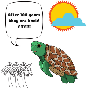 Shelly the Sea Turtle - After 100 years they are back.png