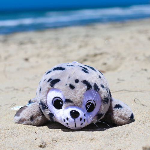 Sammy the Seal - Made from 6x plastic bottles