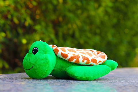 Shelly the Sea Turtle - Made from 6x plastic bottles