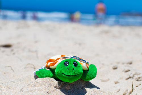 Shelly the Sea Turtle keychain