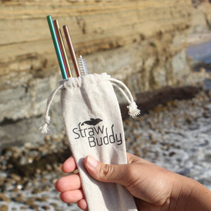 Straw Buddy Stainless Steel Straw Pack - 3x colorful stainless steel straws